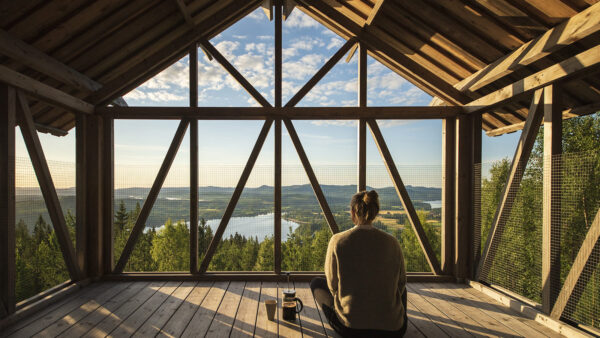 The Swedish Experience in Sustainable Wooden Construction – Woodlife Sweden